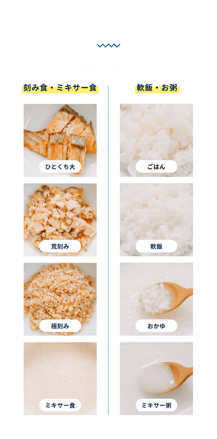 ラパックのサポート食